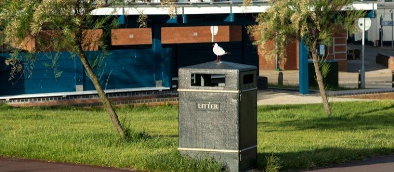Forget the rubbish: Getting to know your outdoor waste and recycling bins